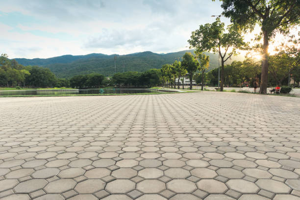 Best Residential Driveway Paver Services  in , VA